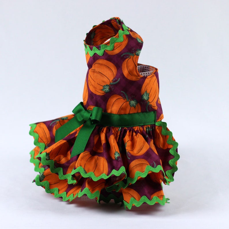 Dog Dress Features an Orange Pumpkin Print on Purple Background Custom Made Dog Harness Dress for Fall or Thanksgiving