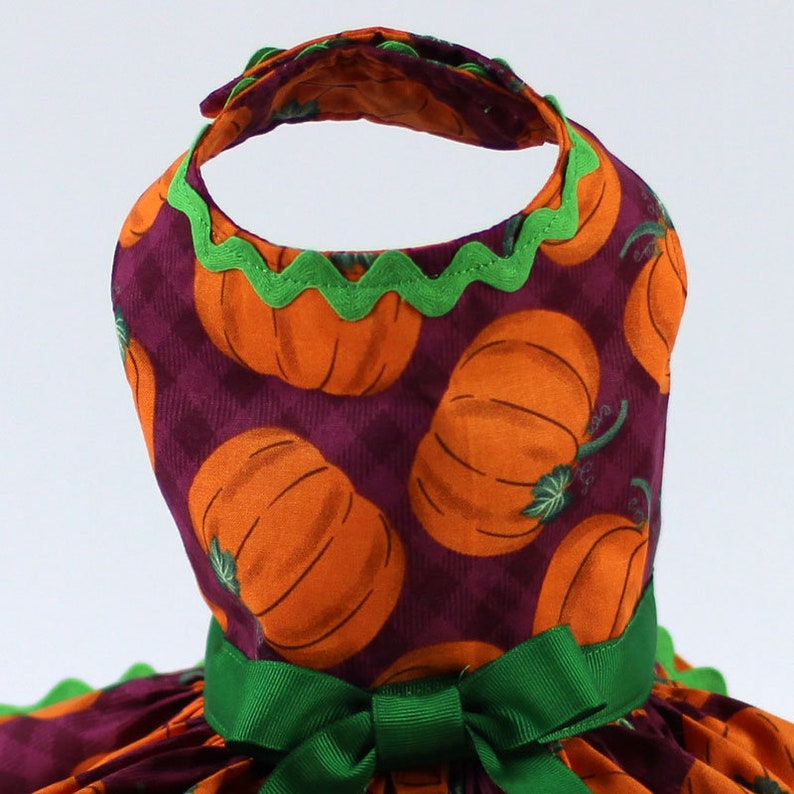 Dog Dress Features an Orange Pumpkin Print on Purple Background Custom Made Dog Harness Dress for Fall or Thanksgiving