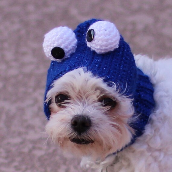 crochet dog hat