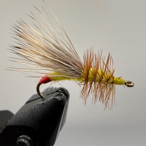 May include: A fishing fly lure featuring a bright yellow body, a red thread wrap at the hook bend, and long, light brown hackle fibers extending from the center. The lure includes a large, upright wing made of light tan, fine, pointed feathers.
