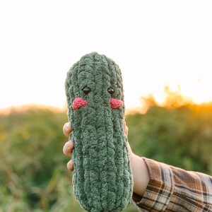 May include: A green crocheted plush toy shaped like a cucumber with a cute face. The toy has black eyes and pink cheeks.