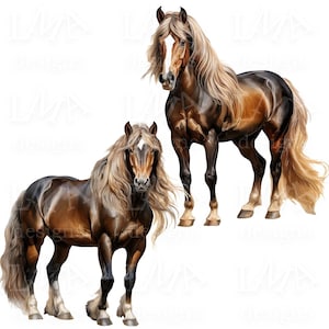 Pode incluir: Duas ilustrações detalhadas de cavalos. Os cavalos têm pelagens castanhas e pretas com longas crinas e caudas loiras e fluidas. Um cavalo está de pé, o outro está deitado. Os cavalos têm marcas brancas na cara.