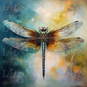 12 Dragonflies & 6 Dragonfly Background Clipart Images