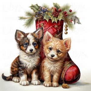 Peut inclure: Deux adorables chiots, l'un brun et blanc et l'autre brun clair, sont assis à côté d'une chaussette de Noël rouge décorée de bordures dorées et de houx.