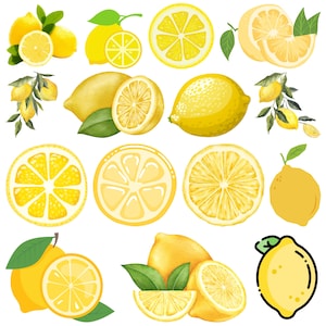 May include: A collection of yellow lemons, some whole, some sliced, and some in various stages of being cut. The lemons are arranged on a white background with green leaves.