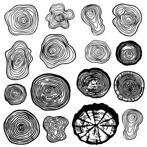 以下が含まれることがあります： 木の年輪の白黒イラスト15点セット。イラストは形やサイズが様々で、中には他のイラストよりも詳細なデザインのものもあります。