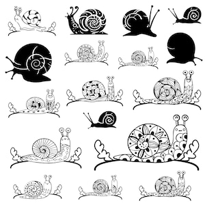 Paquete de svg de caracol, clipart de caracol, vector de caracol, calcomanía de caracol, archivos de corte de caracol, silueta de caracol.