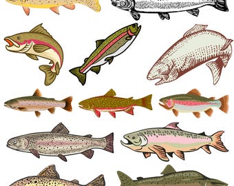 Trout SVG Bundle, Trout outline, Trout clipart, Jumping Trout Fish, trout fish silhouette, Trout Fish Cricut,Trout Fish Vector,