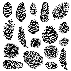 Pinecone svg Bundle, Cone Clipart, Pine Tree Vector, Conifer cone Decal, Autumn plant Cut Files, Woodland pine cone Silhouette.