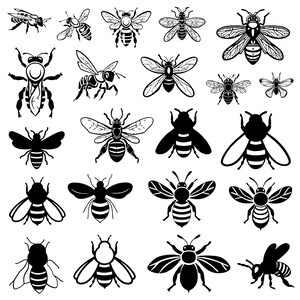May include: A collection of black and white bee illustrations in various poses and sizes. The images showcase detailed wing patterns and body segments, perfect for design projects or educational materials.