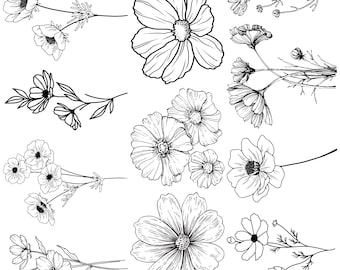Cosmos Flower Svg, Cosmos Blossom svg, Cosmos Flower Silhouette, Cosmos Flower Cricut, Cosmos Flower eps,Cosmos Flower vector,