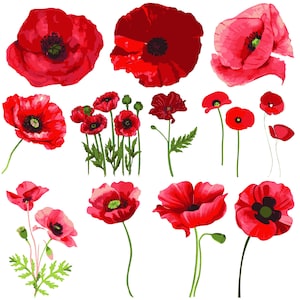Poppy svg bundle, Poppy Cut File, Poppy Flower Svg, Wildflower Svg, poppies svg files for cricut, Poppy Clipart, Poppy Flower eps