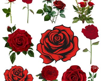 ROSE SVG Bundle, Rose Svg cut files for Cricut, Rose Clipart, Rose Silhouette, Rose  vector, Rose Outline SVG, Rose eps