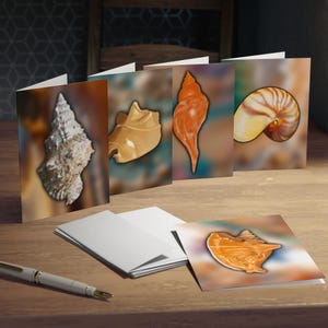 Tarjetas de felicitación - Tarjetas con conchas marinas / Juego de papelería náutica / Tarjetas de agradecimiento inspiradas en el océano, Tarjetas en blanco para todas las ocasiones, Gracias