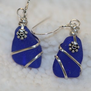 Wire Wrapped Cobalt blue sea glass beach glass earrings sterling silver image 1