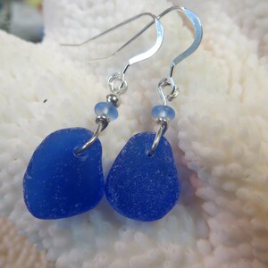 Genuine cobalt blue sea glass beach glass earrings sterling silver hand made earrings nautical jewelry surf tumbled image 1