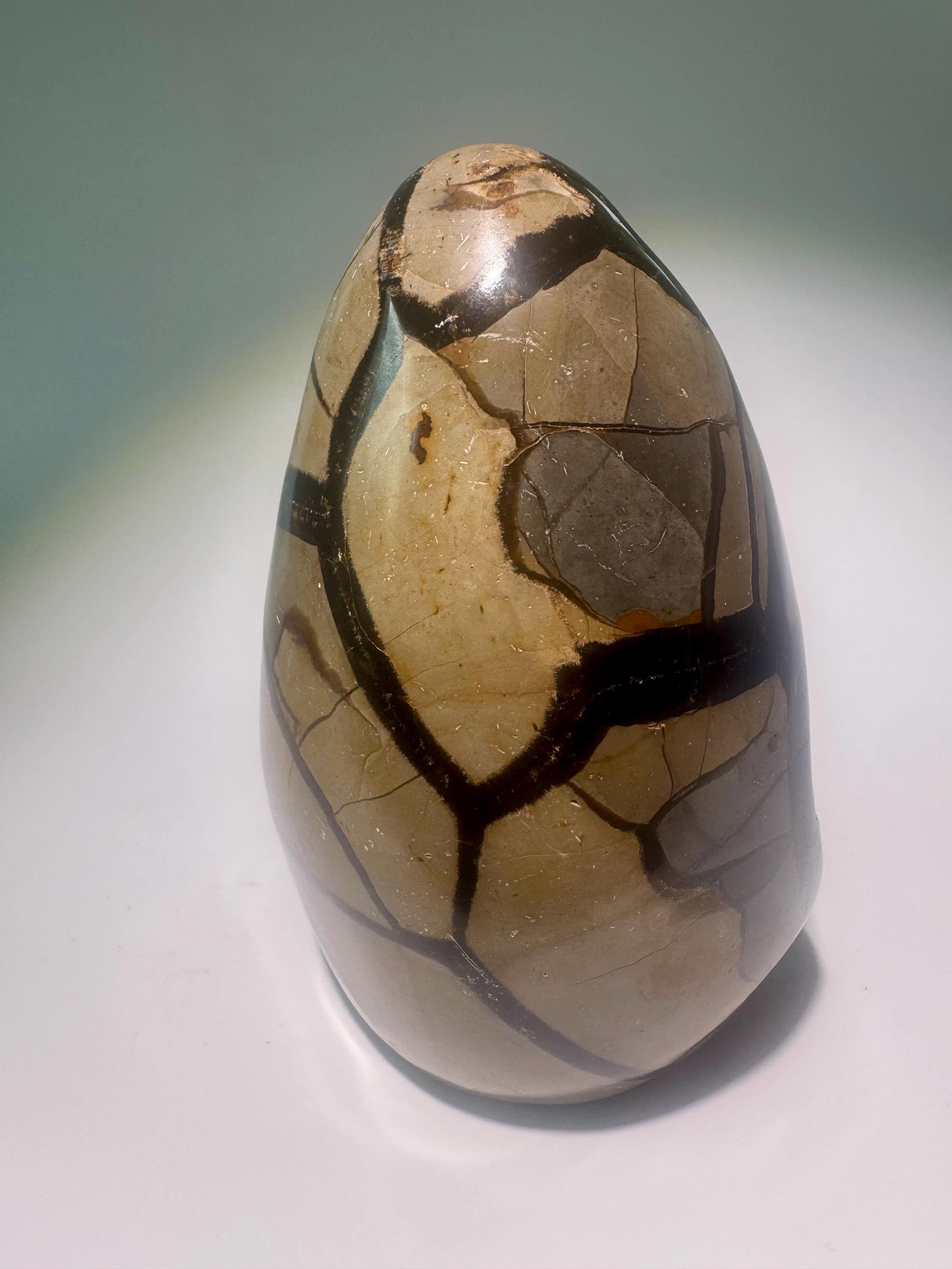 セプタリアン・ドラゴンストーン 12.4 cm – マダガスカル産の天然水晶