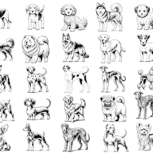 Dog Breeds SVG Bundle Pet Breed SVG for Cricut Dog Clipart SVG for Dog Lover Dog breed silhouette svg
