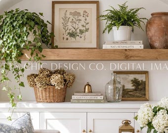 Virtual Office Background, White Bookshelf, Professional Meetings (Digital Image)