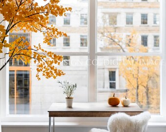 Cozy Fall Window Background, Zoom Background for Meetings, Autumn Virtual Office, Professional Teams, Digital Image, GoogleMeets Backgrounds