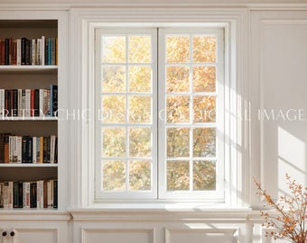 White Bookshelves Background, Classic Study Window Backdrop for Meetings, Virtual Office, Professional Teams, Streaming, GoogleMeet, Youtube