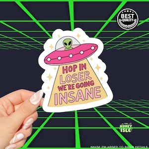 Hop In Loser We&#39;re Going Insane Mental Health | Girly Pink Aesthetic Vinyl Sticker, Waterproof, Hydroflask, Laptop Decal