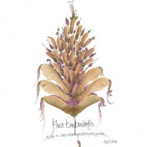 Botanical-style print with calligraphy and helicopter seeds by leafages image 3