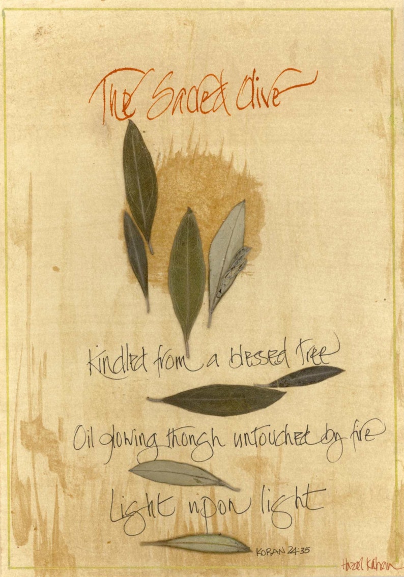 Blank note card with olive leaves and calligraphy: The Sacred Olive image 1