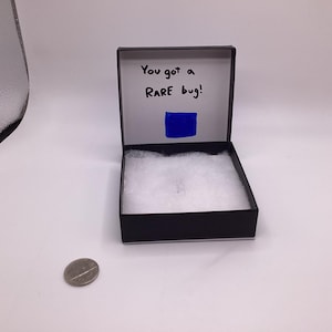 May include: A small, open black box with white stuffing inside. The inside lid has handwritten text that reads "You got a RARE bug!" with a blue square. A silver coin rests on the white surface.