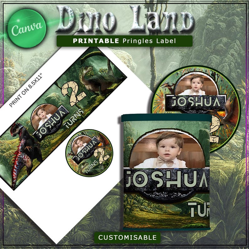 Dinosaurs Printable Pringles Labels, Dinosaurs Canva Editable Pringles ...