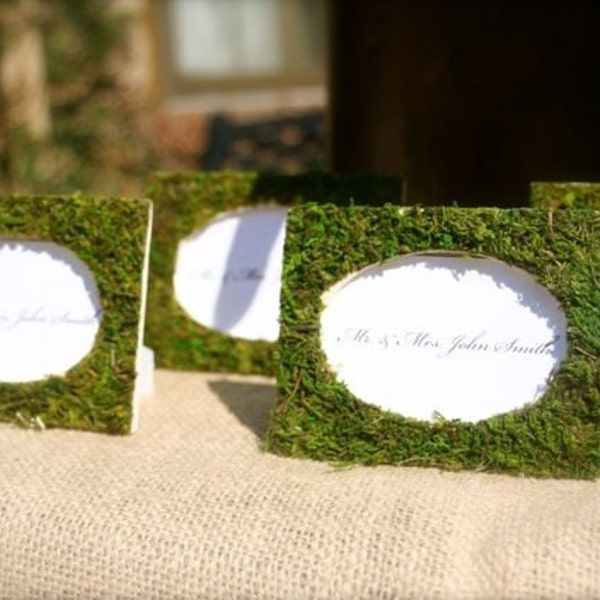 Moss Covered Party Wedding Table PLACE CARDS Frame