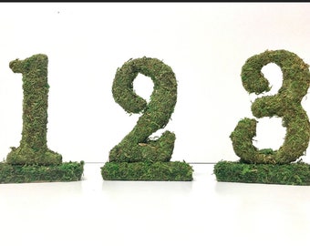 Moss Covered 6 Inch Wedding party Table Reception Table Numbers on base