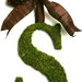 see more listings in the Moss Monogram Lettere section