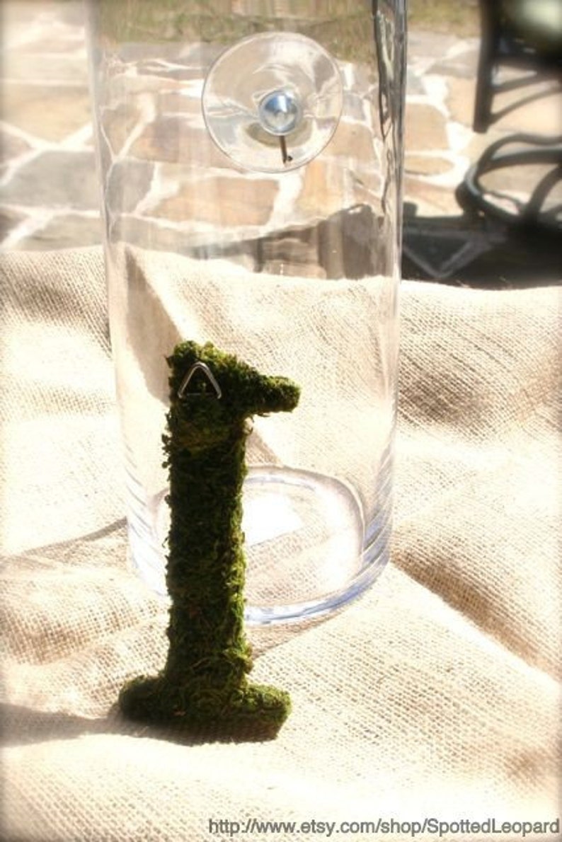 Moss Covered 6 Inch Wedding party Table Reception Table Numbers image 3