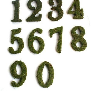 Moss Covered 6 Inch Wedding party Table Reception Table Numbers image 1