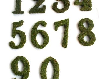 Moss Covered 6 Inch Wedding party Table Reception Table Numbers