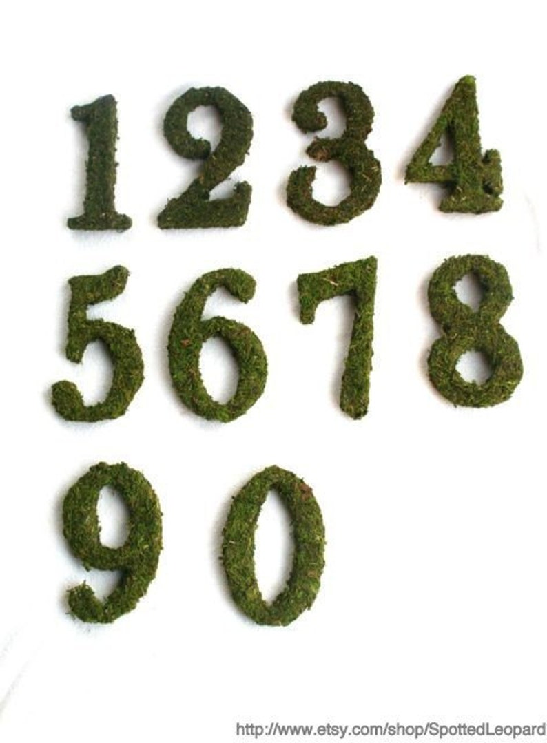 Moss Covered 6 Inch Wedding party Table Reception Table Numbers image 1