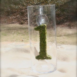Moss Covered 6 Inch Wedding party Table Reception Table Numbers image 2