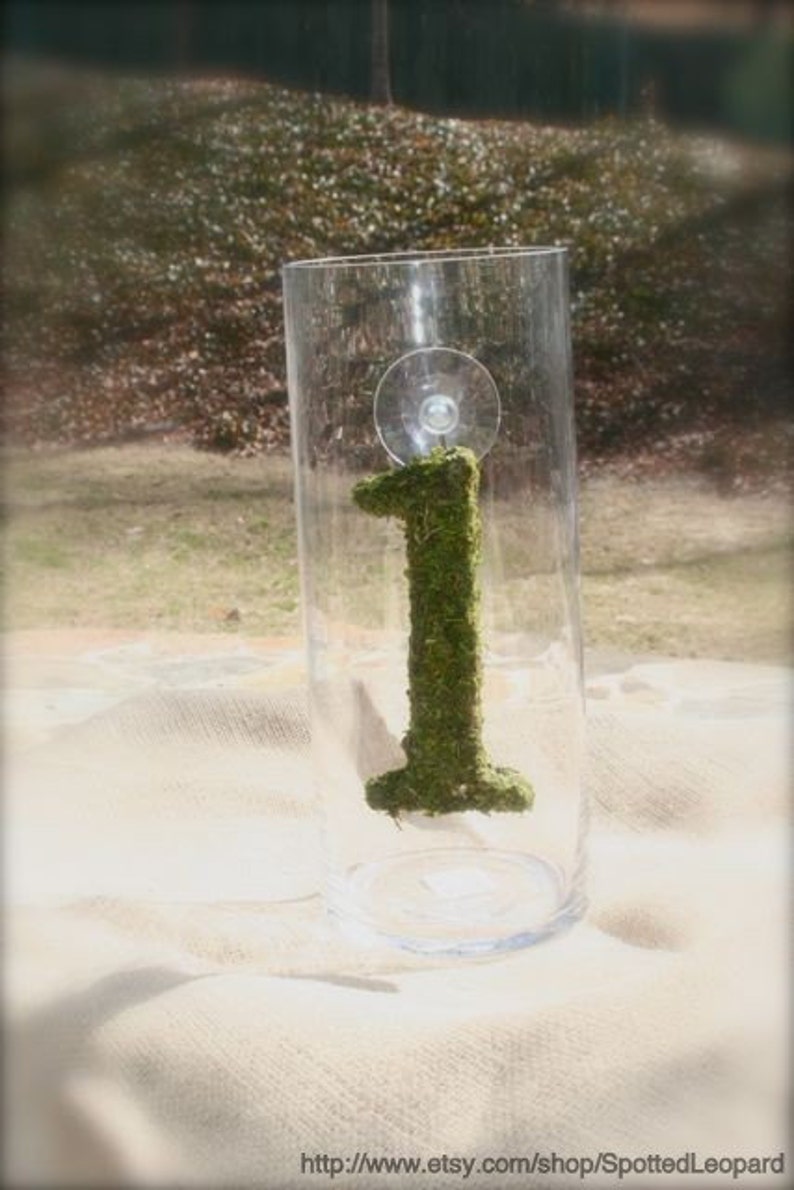 Moss Covered 6 Inch Wedding party Table Reception Table Numbers image 2