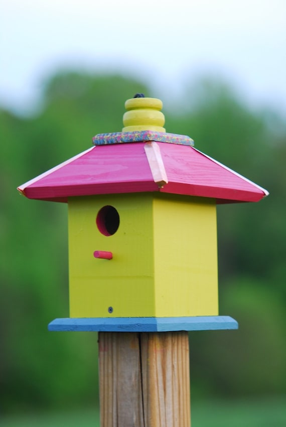 Hanging Bird House Painted Birdhouse Wooden Bird Houses Etsy