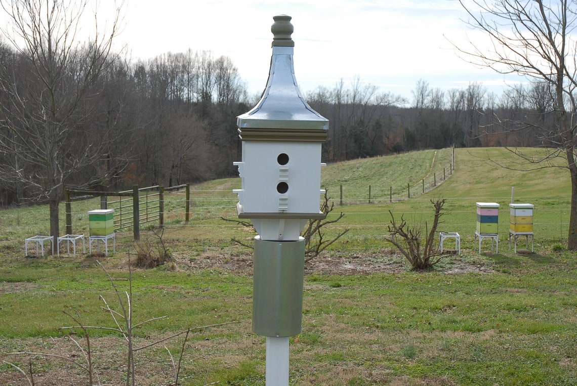 Squirrel Guard Squirrel Baffle Predator Guard for Birdhouses Etsy