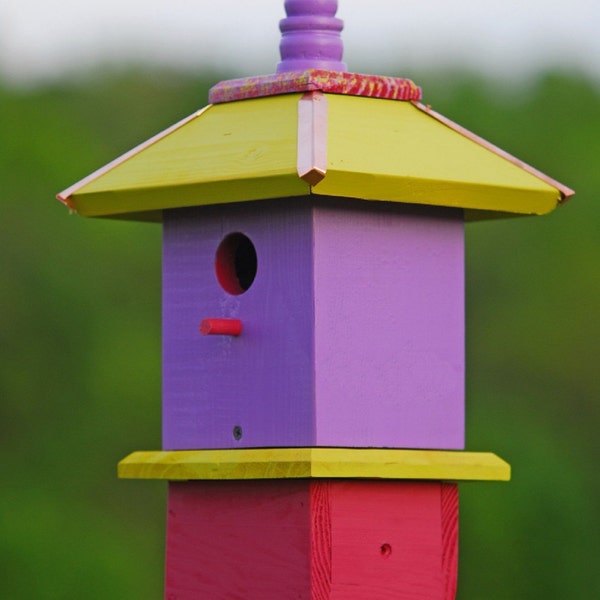 Handcrafted Birdhouse Whimsical Painted Apple Lilac Raspberry,  Gifts