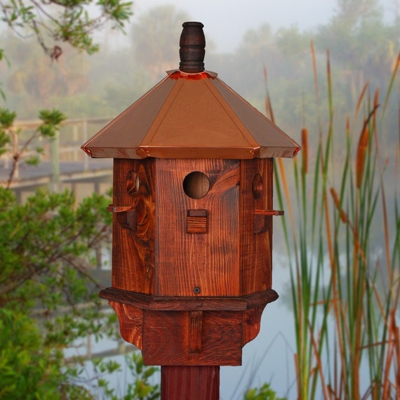 Finch birdhouse online
