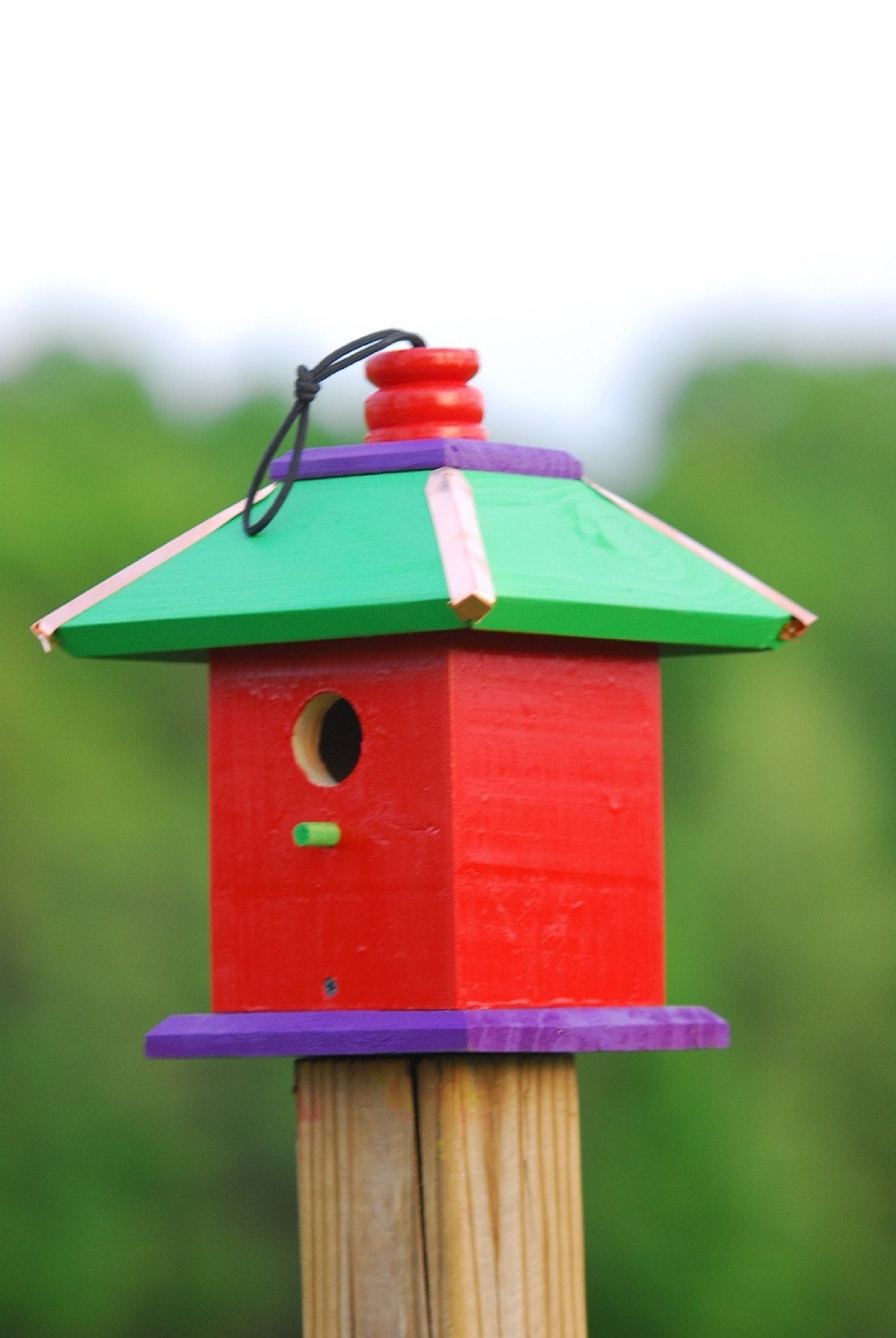 Hanging Bird House Whimsical Birdhouses Painted Bird Houses Etsy