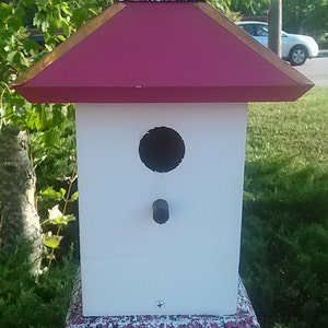 Painted Bird House, Bluebird Houses, Whimsical Birdhouses image 1