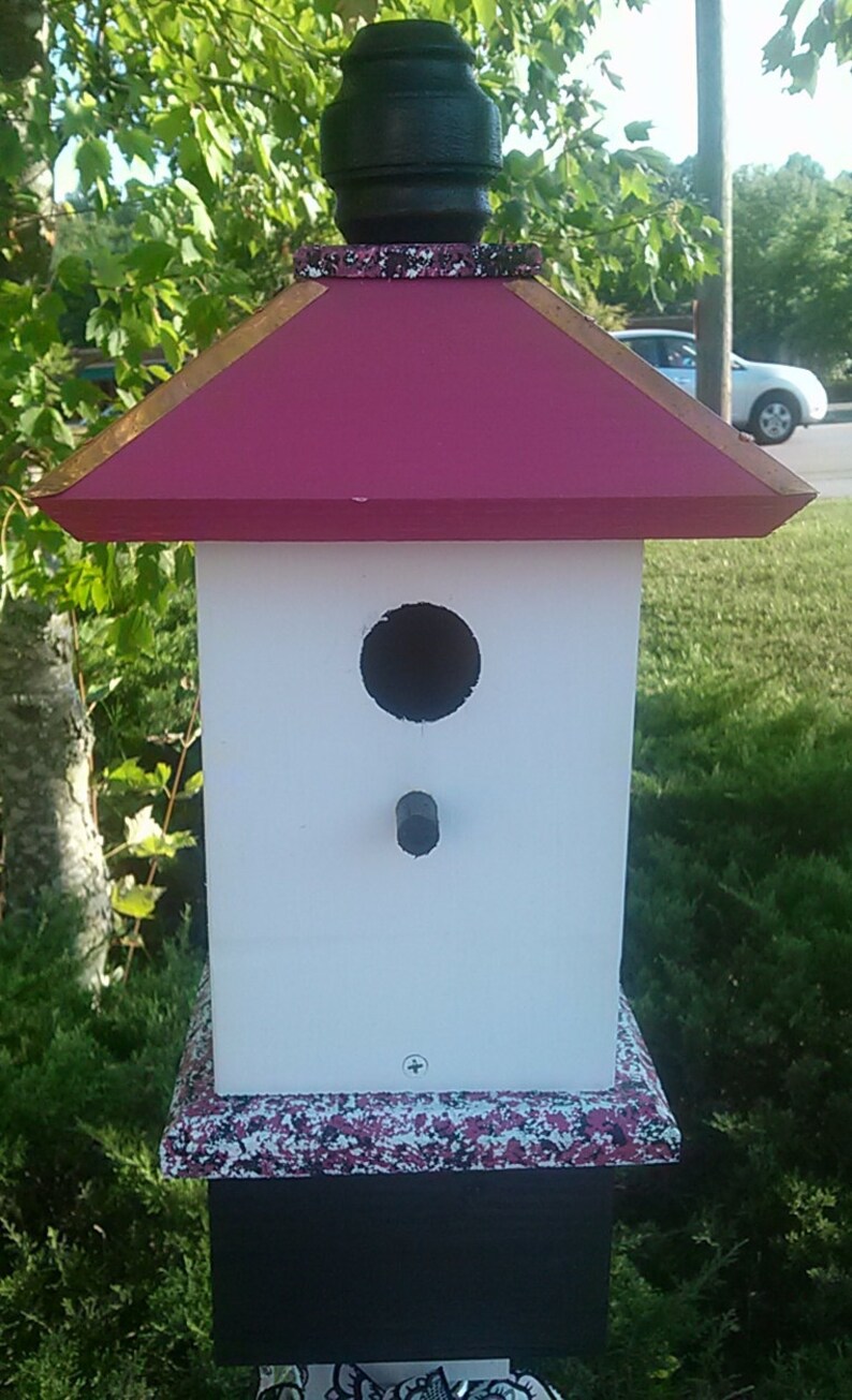 Painted Bird House, Bluebird Houses, Whimsical Birdhouses image 1