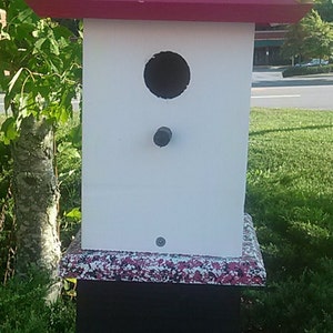 Painted Bird House, Bluebird Houses, Whimsical Birdhouses image 3