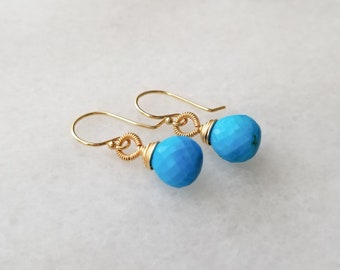 Petite Turquoise Earrings with Coil Detail