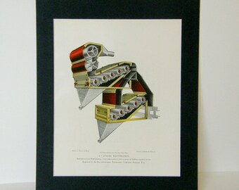 PUNK 初版 Shop Punk Collections: Art & Collectibles | AbeBooks: Mare