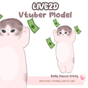 Belly Dance Cat Premade Vtuber Model, Ready To Use Vtuber Model, Vtuber Model and Rigging, Premade Vtuber for Twitch and Youtube | Live2D